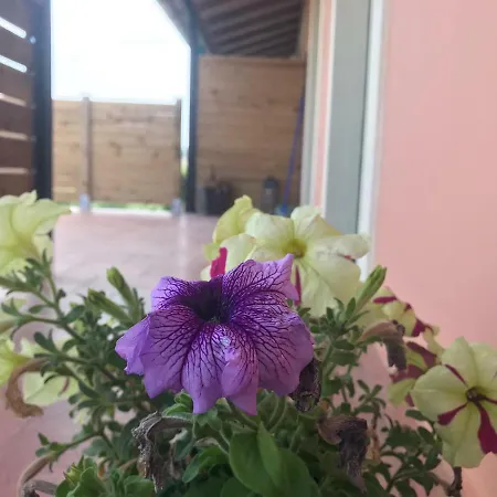 Theo Διαμέρισμα *